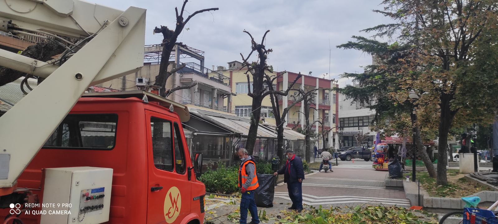 Δήμος Τυρνάβου: Έκοψε επικίνδυνα κλαδιά δέντρων 